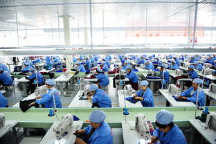 萬億藍(lán)海 互聯(lián)網(wǎng)服務(wù)市場的崛起與未來